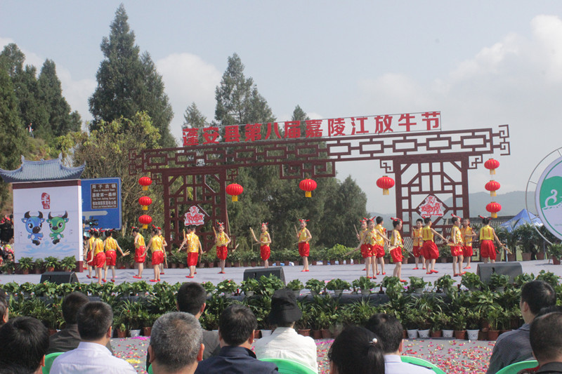 1540718897433051.jpg 101_副本.jpg