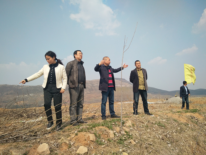 1540720527914605.jpg IMG_20170401_140400 副本.jpg