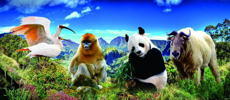 1569119352958816.jpg 1569119352958816.jpg