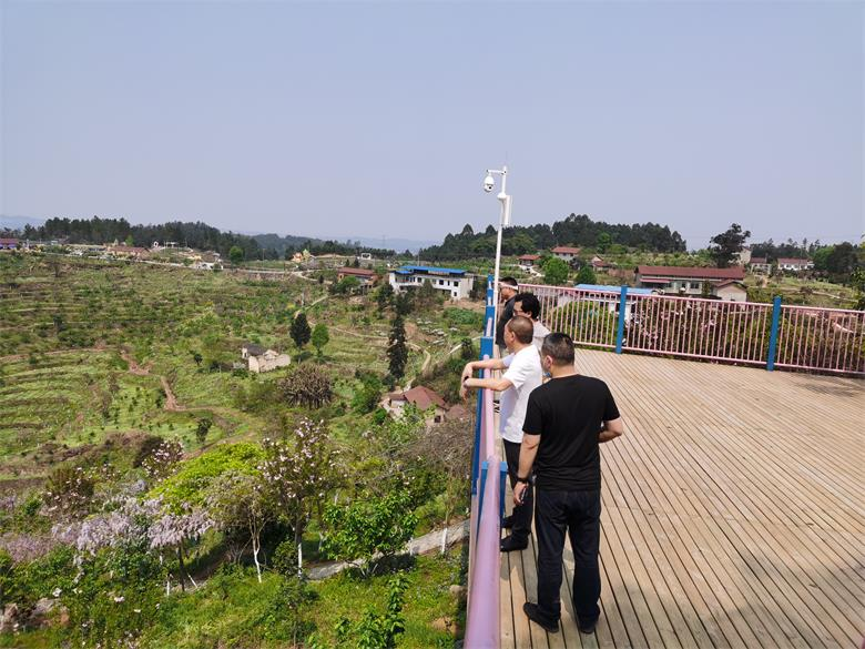 1647500122472232.png image.png