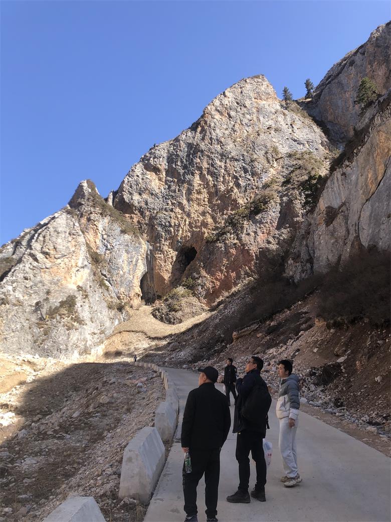 1647588359953578.jpg 3.jpg